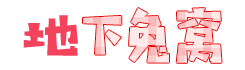 地下兔窝